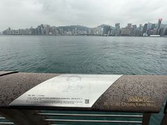 -星光大道