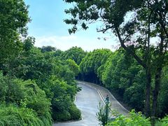 -南京市江宁方山