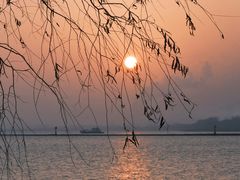 -上海吴淞炮台湾国家湿地公园