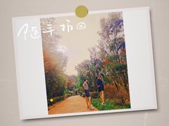 -金海湾滨江公园