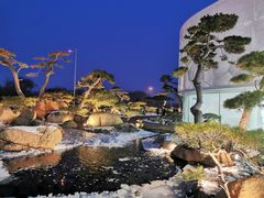 -罗红摄影艺术馆