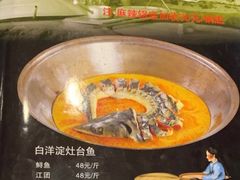 -白洋淀灶台鱼(名佳花园店)