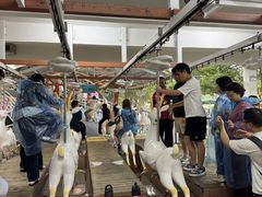 -盈香心动乐园
