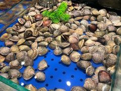 -宴立方海鲜自助(义乌万达广场店)