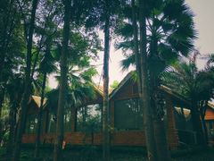 -三圣花乡旅游区