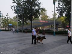 -中国人民解放军总医院(301医院)