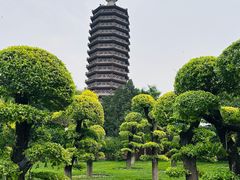 -西海子公园