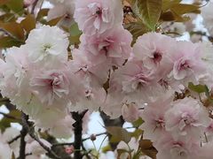 -贵阳市花溪国家城市湿地公园