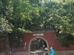 -灵谷景区