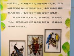 -上海昆虫博物馆