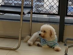 -怪兽屋·羊驼·猫咖·狗咖(俊华广场店)