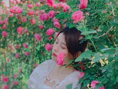 -合肥滨湖国家森林公园