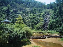 -水濂山森林公园