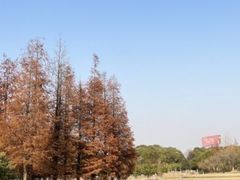 -瑶湖湿地自然保护区