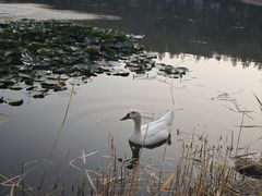 -吉林大学(前卫南区)