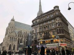 -斯蒂芬主教座堂(Stephansdom)
