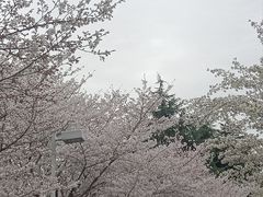 -白塘生态植物园