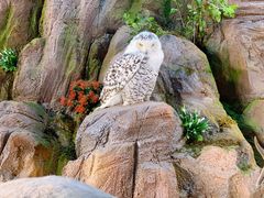 -正佳自然科学博物馆