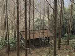 -凤栖山