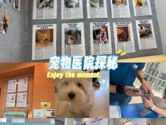 -瑞派申生动物医院·24H夜诊·国际动物医疗中心·骨外科(吴中路店)