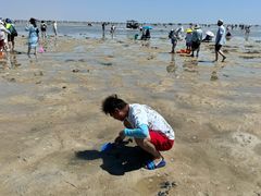 -北海金海湾红树林生态旅游区