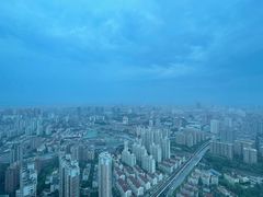 -上海龙之梦万丽酒店