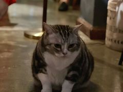 -咖法森林·咖啡  酒吧(天河店)