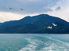 -海心沙亚运公园