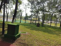 -咸阳湖景区-古渡公园