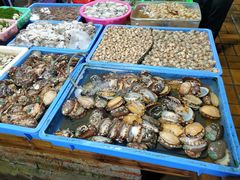 大堂-都斛海鲜街