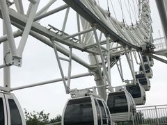 -祥源·阜阳生态乐园