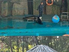 -沈阳森林动物园