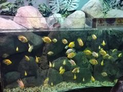 -苏州海洋馆