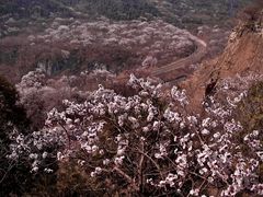 -居庸关长城