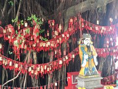 -江门古兜温泉小镇