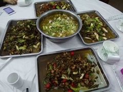 -铁山坪森林公园