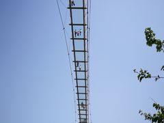 -青岛森林野生动物世界