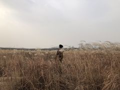 -盘龙城国家考古遗址公园