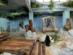 -海南热带野生动植物园