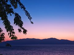 -湖景渔湾