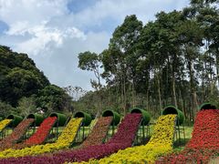 -广州市石门国家森林公园