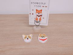 -柴迷FANS CLUB·柴犬狗咖·猫咖