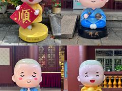 -深圳仙湖植物园
