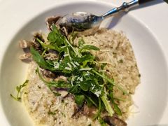 -bluefrog蓝蛙(皇庭广场店)