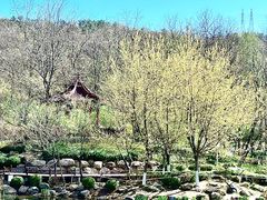 -大连植物园