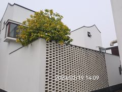 -东梓关景区村庄
