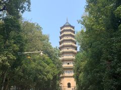-灵谷景区