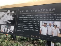 -上海交通大学医学院附属瑞金医院(总院)