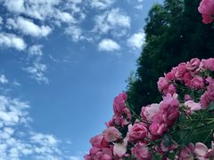 -雅安周公山温泉铭雨农家乐