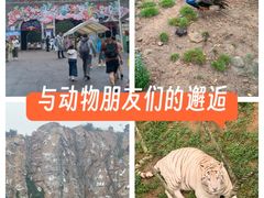 -西霞口神雕山野生动物世界